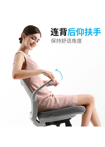 Features Of M59-301 Grey Small Size Adjustable Armrest Sihoo Chair1300