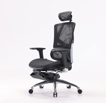 Sihoo A2B Black Mesh Ergonomic Office Chair with 3D Armrest and Neck Support