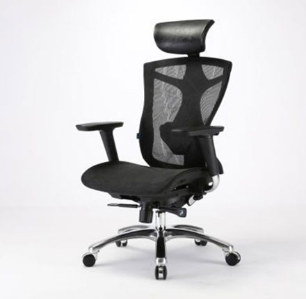 Sihoo V1 Ergonomic Comfortable and Stylish Adjustable Recliner Executive Office Chair