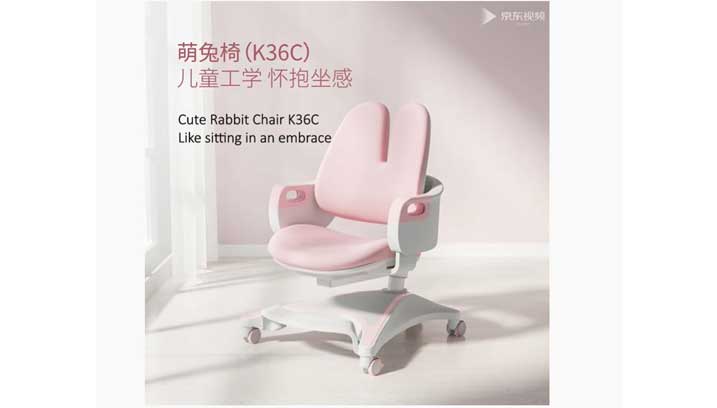 Sihoo K36 Ergonomic Chair