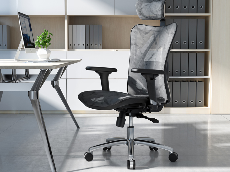 Affordable Ergonomic Office Chair