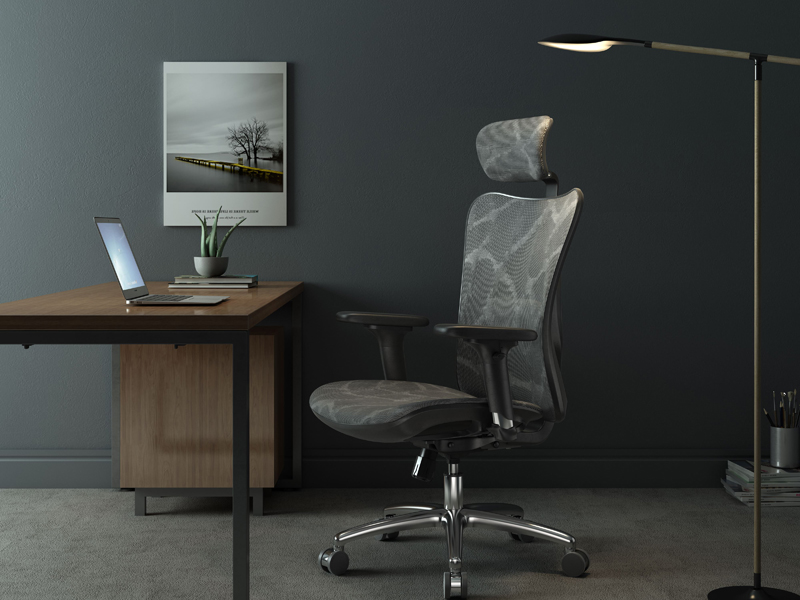 Buy Ergonomic Office Chair