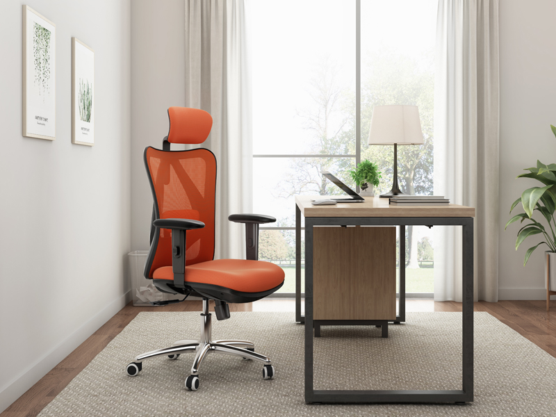 Ergonomic Chair For Office Work