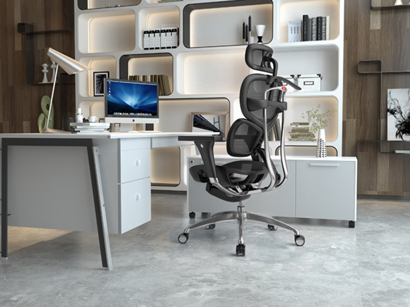 Ergonomic Premium Office Chair