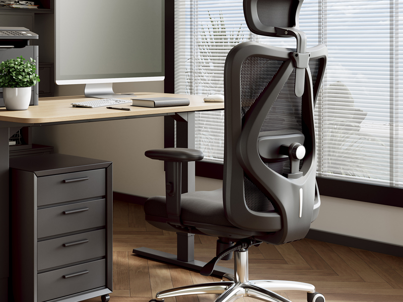 Sihoo Ergonomic Office Chair Buy