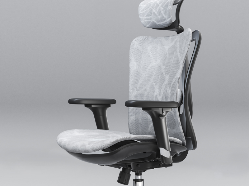 Buy Sihoo Ergonomic Office Chair