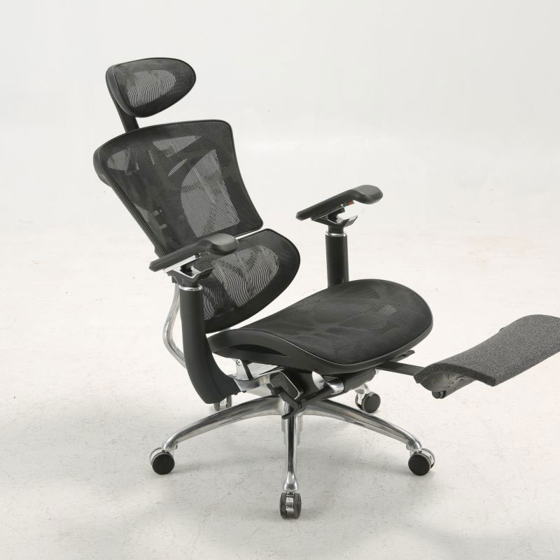 Ergonomic Back Chair