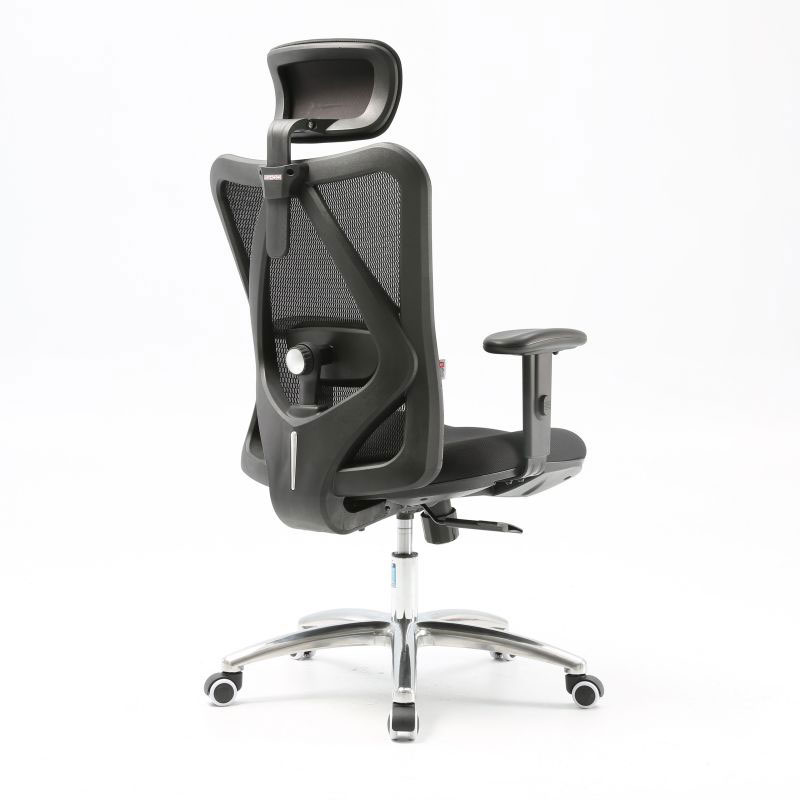 Sihoo M18 Chair