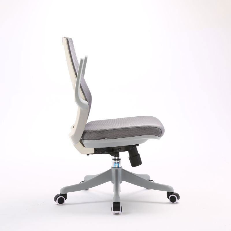 Ergonomic Chair With Adjustable Armrest