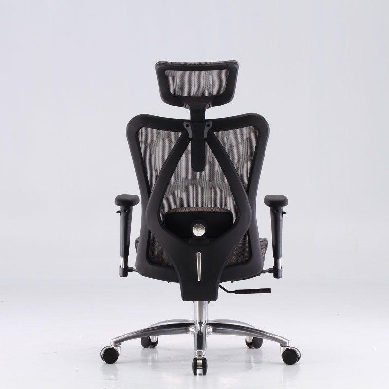 Ergonomic Chairs M57