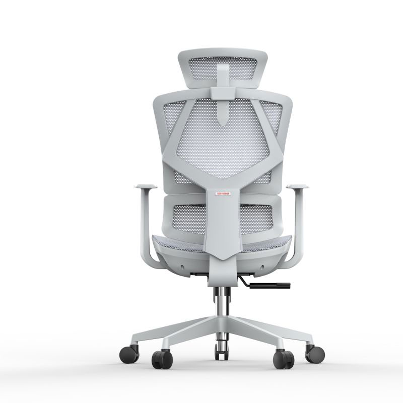 Ergonomic Computer Chair With Adjustable Arms