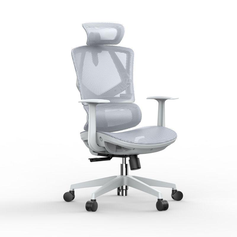 Mesh Chair With Adjustable Arms