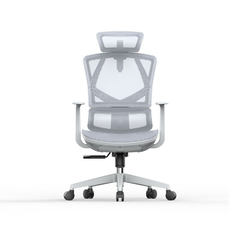 Office Chair With Back Support And Adjustable Arms