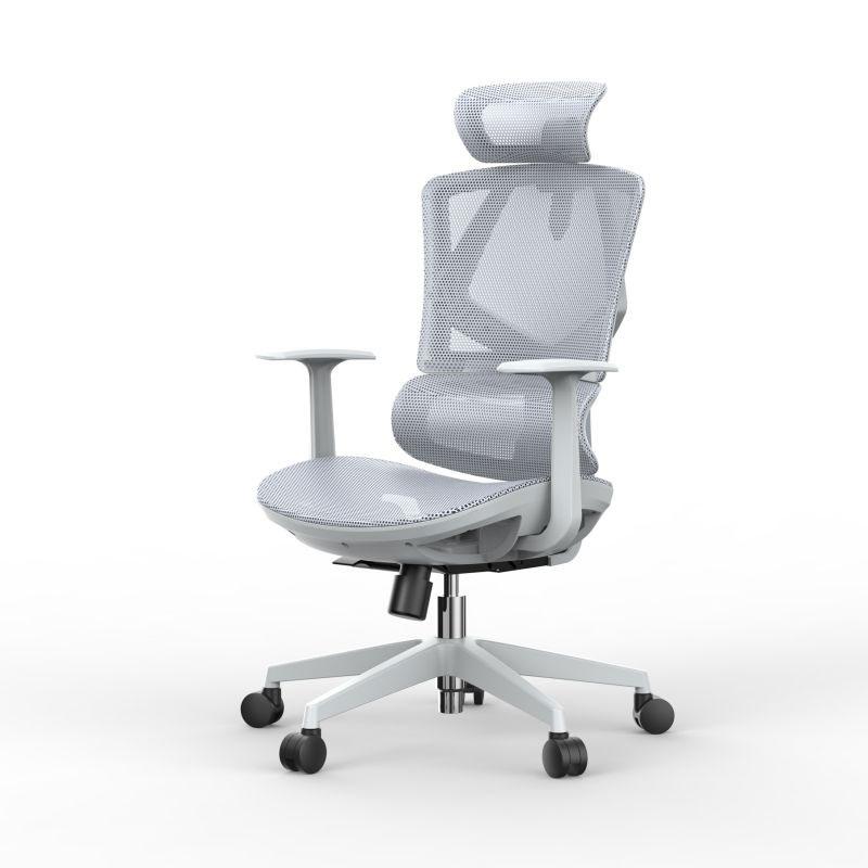 Lumbar Office Chair