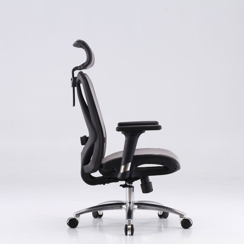 Sihoo Ergonomic Office Chair M57