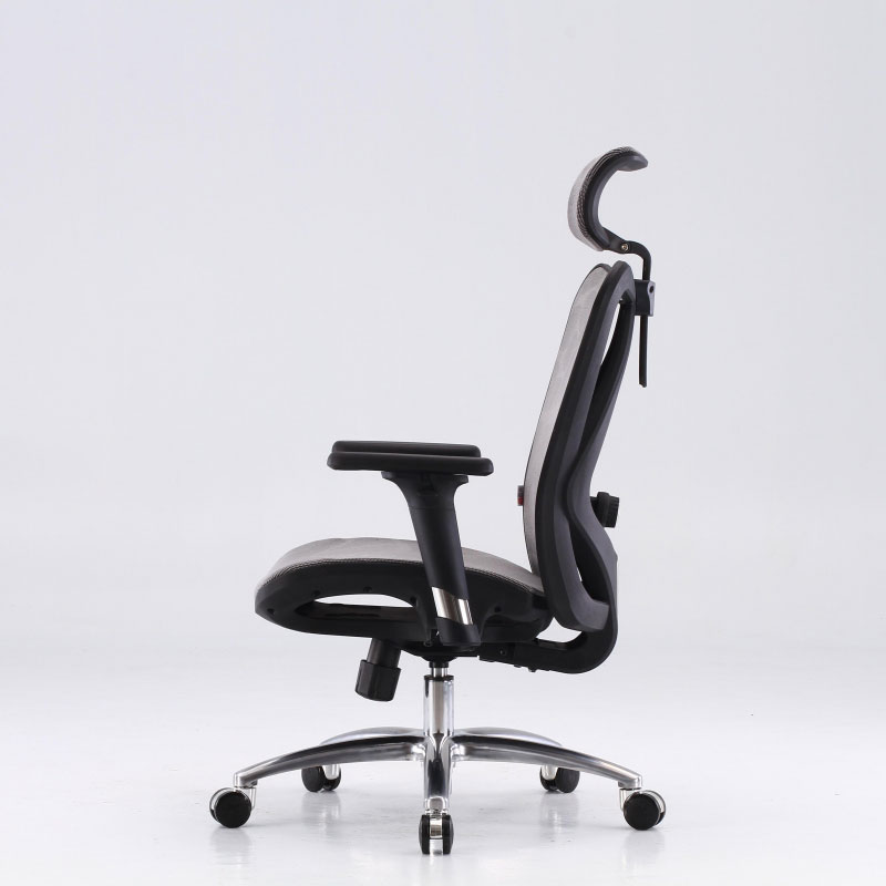 Sihoo M57 Chair