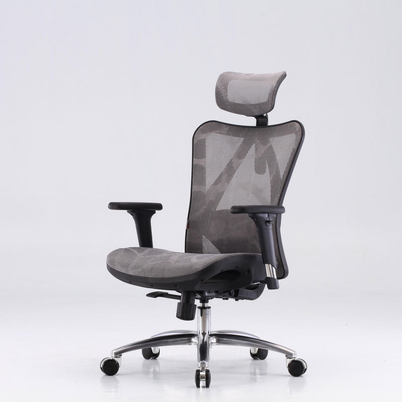 Sihoo M57 Ergonomic Chair