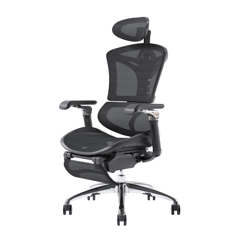 Sihoo M97 Bifma Passed Wholesale Ergonomic Office Chair Elastic Adaptive Back Lumbar Support Ceo Chair Foshan Manufacturer