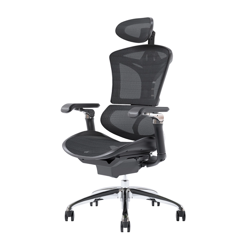 Sihoo M97 Bifma Passed Wholesale Ergonomic Office Chair Elastic Adaptive Back Lumbar Support Ceo Chair Foshan Manufacturer