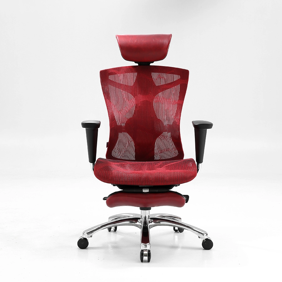 Stylish Office Chair Lumbar Support