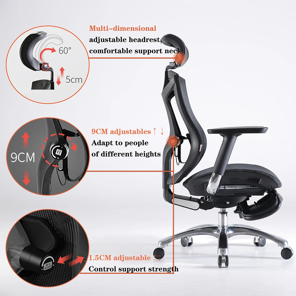 features of sihoo v1 chair